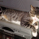 Image for article titled The FCC's Plan to Fix Cable Boxes Will Save You a Ton of Money